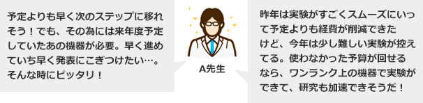 調整金による前倒し使用　調整金による次年度使用